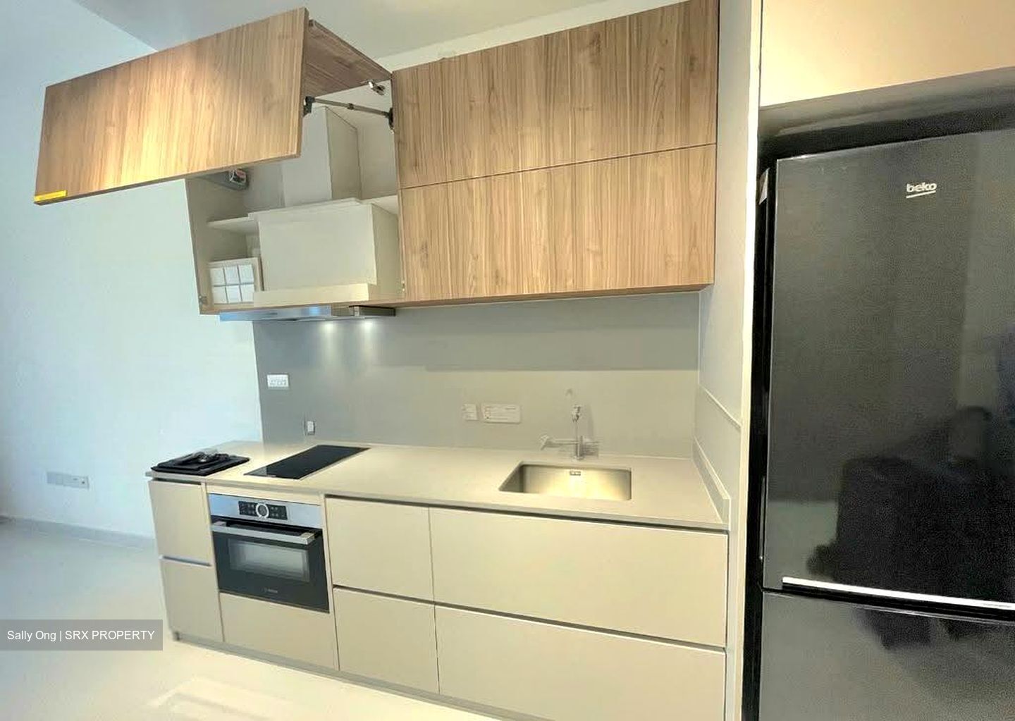 Parksuites (D10), Apartment #619587681